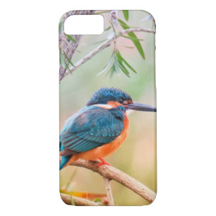 Case-Mate iPhone Case Martin-pêcheur été perché sur la branche
