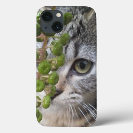 Coques Case-Mate iPhone Masquer Kitten EYE-Phone iPad Mini Case (Verso)