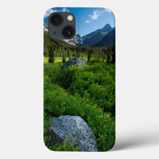Coques Case-Mate iPhone Meadow and Mt Stuart (Verso)