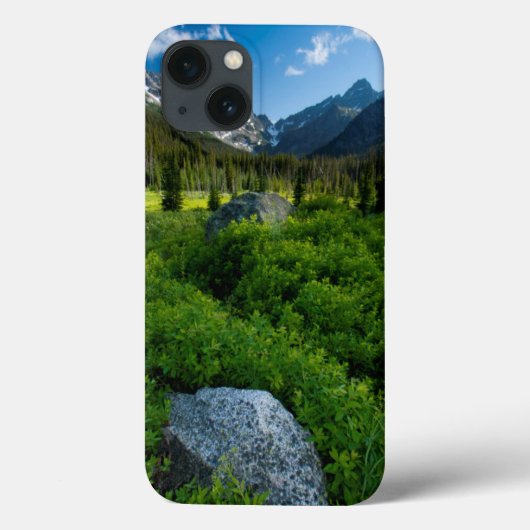 Coques Case-Mate iPhone Meadow and Mt Stuart (Verso)