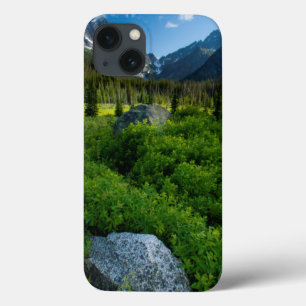 Coques Pour iPhone Meadow and Mt Stuart