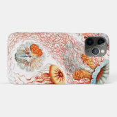 Coques Case-Mate iPhone Méduse, Discomedusae par Ernst Haeckel (Dos (Horizontal))