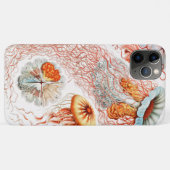 Coques Case-Mate iPhone Méduse, Discomedusae par Ernst Haeckel (Dos (Horizontal))