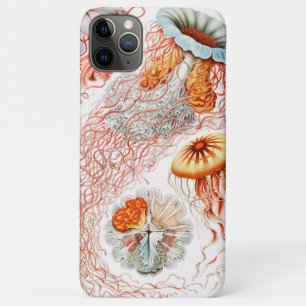 Case-Mate iPhone Case Méduse, Discomedusae par Ernst Haeckel
