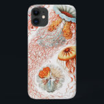 Case-Mate iPhone Case Méduse, Discomedusae par Ernst Haeckel<br><div class="desc">Méduse,  Discomedusae Scheibenquallen par Ernst Haeckel</div>
