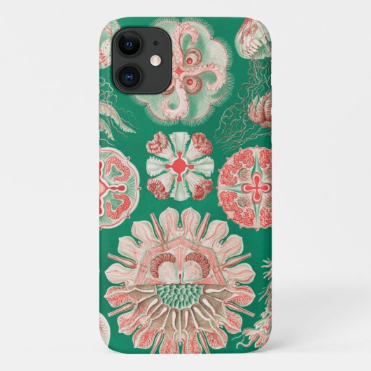 Coques Case-Mate iPhone Méduses, Discomedusae par Ernst Haeckel (Dos)