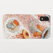 Coques Case-Mate iPhone Méduses, Discomedusae  par Ernst Haeckel (Dos (Horizontal))