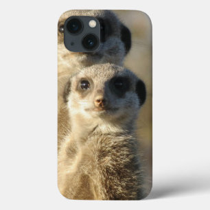 Coques Pour iPhone Meerkat