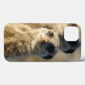 Coques Case-Mate iPhone Meerkat (Verso (horizontal))