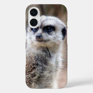 Coques iPhone 16 meerkat
