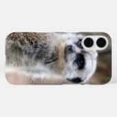 Coques Case-Mate iPhone meerkat (Verso (horizontal))