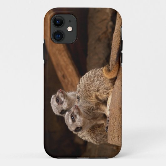 Coques Case-Mate iPhone Meerkat iPhone 5 (Dos)