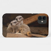 Coques Case-Mate iPhone Meerkat iPhone 5 (Dos (Horizontal))