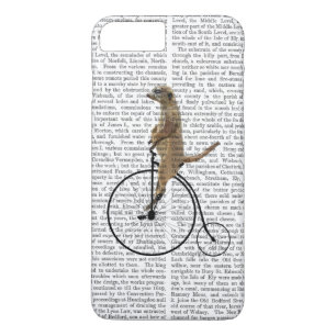 Coque Case-Mate Pour iPhone Meerkat sur le quart de penny noir de penny
