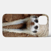 Coques Case-Mate iPhone Meerkat (Suricata Suricatta) refroidissant (Verso (horizontal))