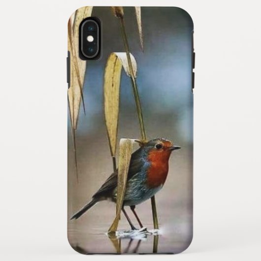 Coques Case-Mate iPhone Meilleur Coque-Mate Tough Apple iPhone XS Max Coqu (Dos)
