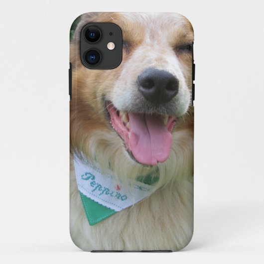 Coques Case-Mate iPhone mélange de border collie (Dos)