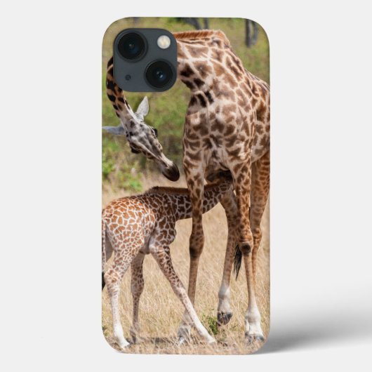Coques Case-Mate iPhone Mère et bébé en girafe au Kenya (Verso)