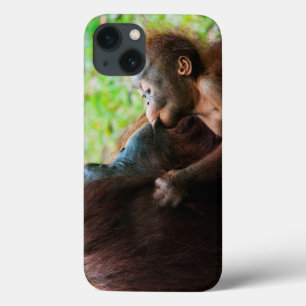Coques Pour iPhone Mère orang-outan et bébé