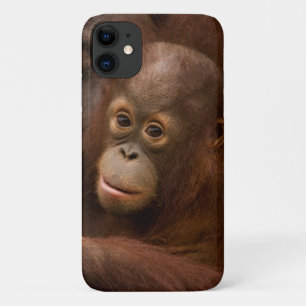 Case-Mate iPhone Case Mère orang-outan et bébé au zoo