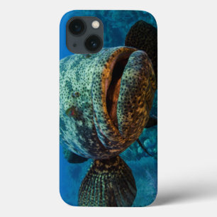 Etui iPhone Case-Mate Mérou atlantique de Goliath