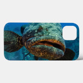 Coques Case-Mate iPhone Mérou atlantique de Goliath (Verso (horizontal))