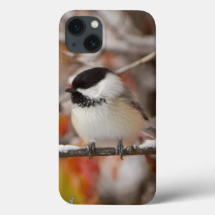 iPhone 13 Coque Mésange à tête noire adulte dans la neige