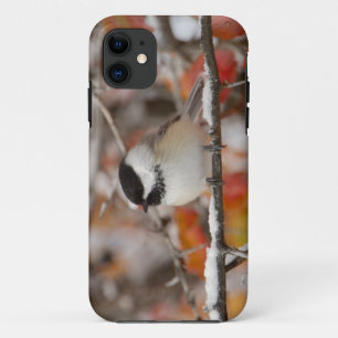 Etui iPhone Case-Mate Mésange à tête noire adulte dans la neige