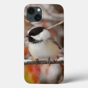 iPhone 13 Coque Mésange à tête noire adulte dans la neige