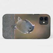 Coques Case-Mate iPhone Mésange tuftée (Dos (Horizontal))