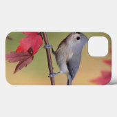 Coques Case-Mate iPhone Mésanges tuftées (Verso (horizontal))