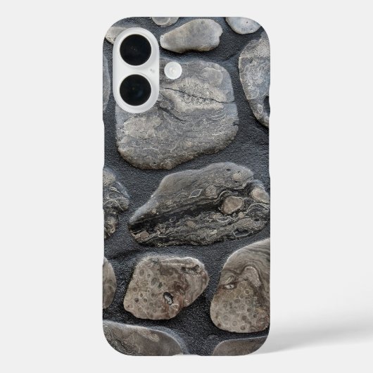 Coques Case-Mate iPhone Michigan Petoskey Stones (Verso)