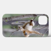 Coques Case-Mate iPhone Mignon singe doré au museau retroussé sur des bran (Verso (horizontal))