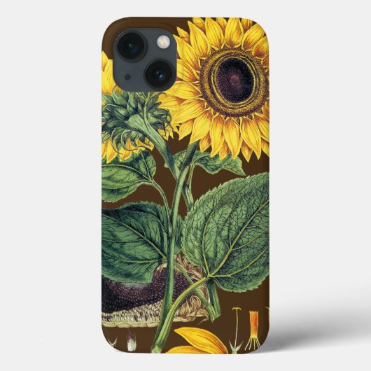 Coques Case-Mate iPhone Miller : Tournesol (Verso)