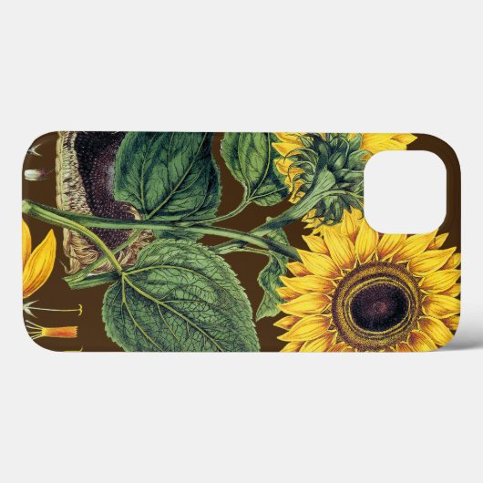 Coques Case-Mate iPhone Miller : Tournesol (Verso (horizontal))