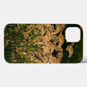 Coques Case-Mate iPhone Millet sauvage (Panicum Sp.) poussant dans une zon (Verso (horizontal))