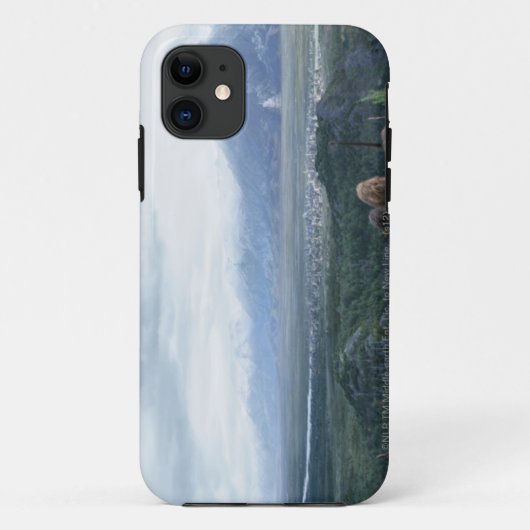 Coques Case-Mate iPhone Minas Tirith en vue (Dos)