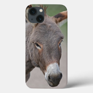 Etui iPhone 13 Mini boîtier Donkey Portrait iPad