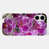 Coques Case-Mate iPhone Mini Phalaenopsis Sogo Vivien Orchidée violet (Verso (horizontal))