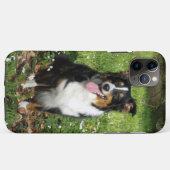 Coques Case-Mate iPhone Miniature American Shepherd Black Tri Assis (Dos (Horizontal))