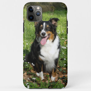 Case-Mate iPhone Case Miniature American Shepherd Black Tri Assis