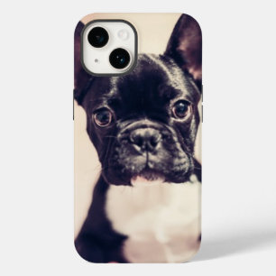 Coque Pour iPhone 14 Minuscule Chiot noir et blanc