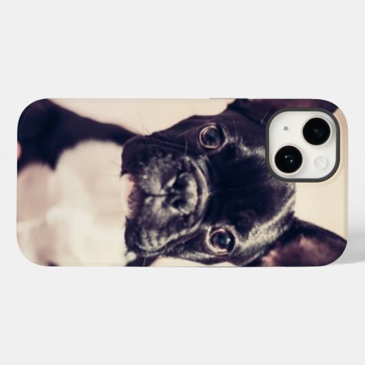 Coques Case-Mate iPhone Minuscule Chiot noir et blanc (Verso (horizontal))