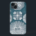 iPhone 13 Coque Modèle IV de vie marine<br><div class="desc">Espèce marine</div>