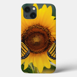 iPhone 13 Coque Monarque Butterfies sur le tournesol