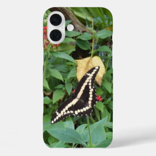 Coques iPhone 16 Plus Monarque jaune et fleurs en Floride