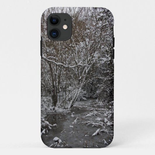 Coques Case-Mate iPhone Monde gelé (Dos)