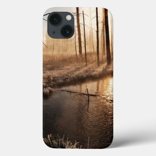 Coques Case-Mate iPhone Morceau de Yellowstone gelé (Verso)
