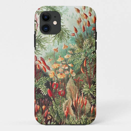 Coques Case-Mate iPhone Mosses, Muscinae Laubmoose par Ernst Haeckel (Dos)