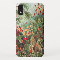 Mosses, Muscinae Laubmoose par Ernst Haeckel